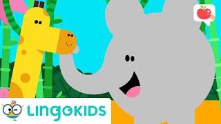 JUNGLE ANIMALS for Kids  | VOCABULARY, SONGS and GAMES | Lingokids