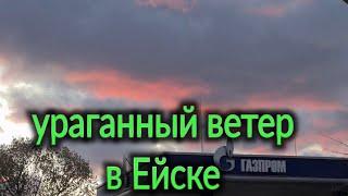 Ураганный ветер в Ейске. Прогнозируют нагонную волну. Сумка для Никиты. 4 ноября 2024 г.