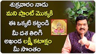 మని ప్లాంట్ తో ఇలా చేస్తే మీ దశ తిరిగిపోతుంది | Money Plant Remedies By Machiraju Kiran Kumar