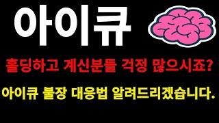 아이큐 - 아이큐 답답하시고 고민많이 되시죠? 필승 매매법 알려드리겠습니다