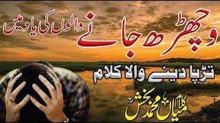 New Kalam 2025 | Mian Muhammad Bakhsh Poetry | Emotional Sufi Kalam