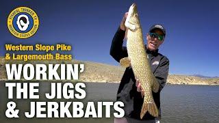 Western Slope Pike and Largemouth Bass (bass fishing, pike fishing)