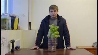 Гидропоника сделай это сам. hydroponics