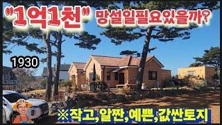 ※60살소나무그늘공짜(1억베스트물건)※강화도토지 강화도땅 강화도부동산 강화도농막 강화도농가주택 강화도전원주택 김포토지 강화토지 부성부동산Tv