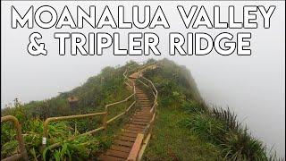 Tripler Ridge and Moanalua Valley Trail Loop | Best Hikes on Oahu | HAWAII Hiking