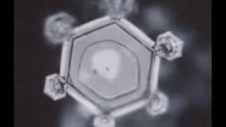 Water, Consciousness & Intent: Dr. Masaru Emoto