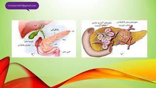 صفر تا صد زیست شناسی(  غده لوزالمعده )