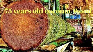 Amerika sawmill smart and Sharp..! Coconut timber premium 75 years old verry hard make a beam 7x14