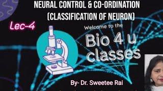 Neural Control &Co-ordination@Bio4U (Classification of Neurons- structural, myelination, functional)