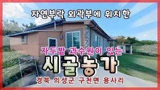 의성군 구천면 용사리(매매13104)_동구밖 과수원 집 #상주_농가주택 #의성_농가주택 #상주과수원 #의성_과수원 #상주부동산 #희망랜드 #희망공인중개사 #의성부동산 #서안동ic