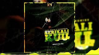 Paul Maker x Harmonize - Serikali Kuu (Official Audio)