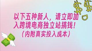 这五种新人，请立即加入跨境电商独立站搞钱！内附真实新人个卖的投入成本和生活状态（下）