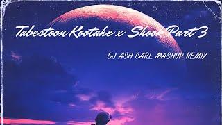 Zedbazi Tabestoon Kooathe x Shook Part 3 x Dj Ash Carl Mashup Remix