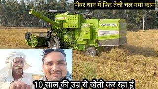 Haryana mein PR dhaan ki harvesting. इस किसान ने की थी 10 साल की उम्र से खेती करना शुरू#हरियाणा#