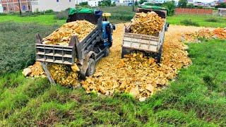 Start Project !! Bulldozer D21p & Truck 5Ton cooperation Landfill Flooded area build Road skill work