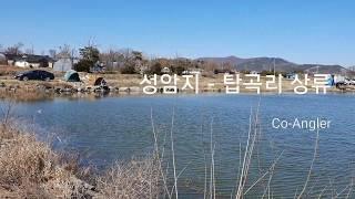 [필드전경] 성암지 - 탑곡리 상류 (2020.03.22)