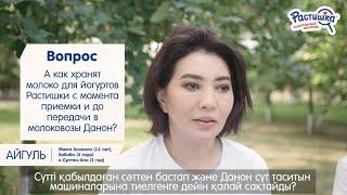 Родительский контроль: как хранят молоко для йогуртов Растишки до передачи в молоковозы Данон?