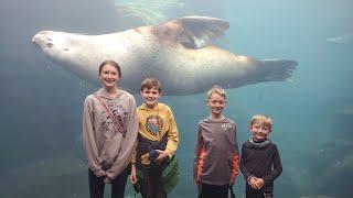 Sealife Center Adventure in Seward Alaska & Watching The Bad Guys Movie