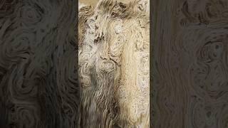 What do you see?  #woodworking #grain #oak #swirl #pattern