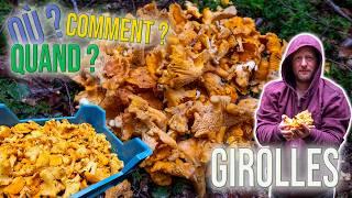 Comment, quand et où trouver des girolles ? 10 astuces !