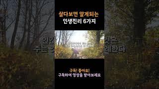 오래오래 살다보면 그냥 알게되는 인생진리 6가지