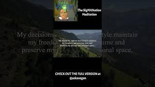 Sigmanation Meditation short excerpt! (Link to full version in description)