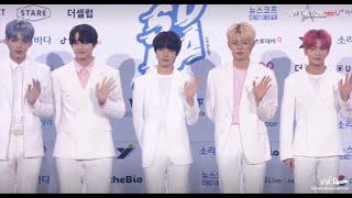 Soba 2020 Blue Carpet Full