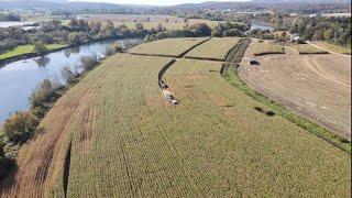 Mile long field! 32 t/ac corn? Corn bunk action and Birds Eye view!