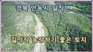 길막장에 위치한 농장하기 좋은 토지입니다. 유실수,조경수,소규모 염소사육도 가능합니다.