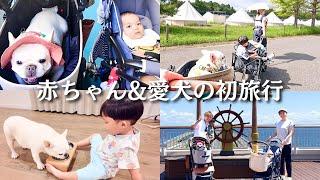 【家族旅行】赤ちゃんと愛犬と4歳児を連れての初のグランピング旅行が面白すぎた…