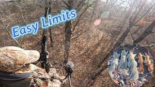 Squirrel Hunting from a Treestand - Limits! | Wisconsin Small Game Hunting | 2024