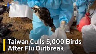 Thousands of Birds Culled After H5N1 Outbreak in Taiwan｜TaiwanPlus News