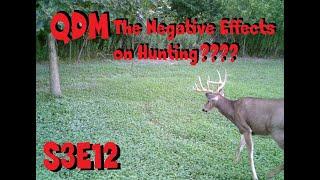 QDM the negative effects on hunting s3e12