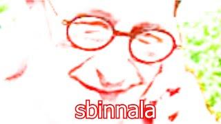 S ️ I N N A L A