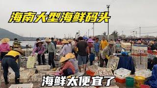 海南最大的露天海鲜码头，大鲍鱼5块海虾8块一斤，本地人最爱来【可以的小可】