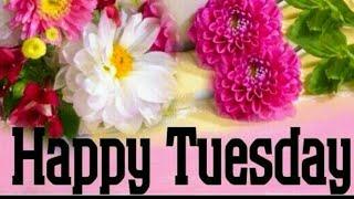 Good morning Tuesday images, best good morning images, whatsapp images & beautiful flowers images