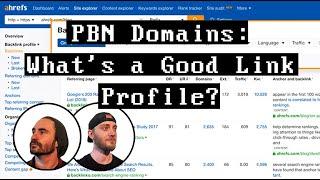 What is a Good Backlink Profile for a PBN Domain? PBN Hunting Simplified.