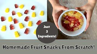 Make FRUIT SNACKS From Scratch !! ~ Homesteading Family