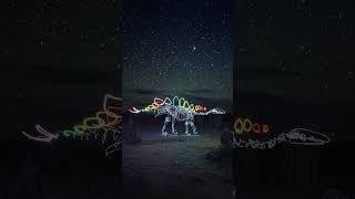 Which is your favorite?  #lightpainting #photography #art #color