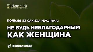 Не будь неблагодарным как женщина. Пользы из Сахиха Муслима. Абу Яхья Крымский