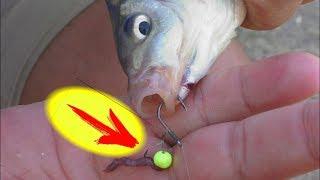 Рыбалка. Ловля на снасть -  один поводок и два крючка. My fishing