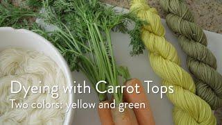 Make a Vegetable Natural Dye Using Carrots