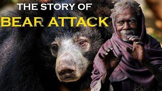 Sloth Bear Attack | In search of Sloth Bear