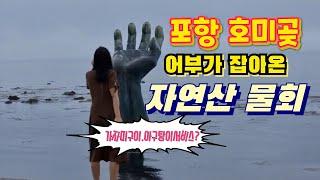 포항가볼만한곳 호미곶 어부가잡아다가 파는 자연산물회