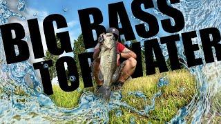 BASS FISHING in cava con grosse esche TOP WATER - BIG BASS