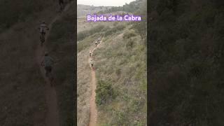 Bajada de la Cabra en la Abr a vista de drone #drone #mtb #abr2025 #therango82