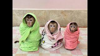 3 Siblings Sit Very Mannerly Waiting Mom To Come & Warming Up For Them ,