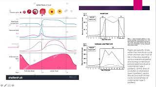 Catamenial Epilepsy Webinar