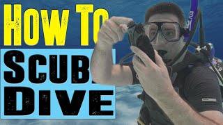 PADI Open Water Course: How to Scuba Dive