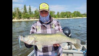 The Best Walleye Fishing In The World! Lake Wpg Spring Greenbacks! Book Now!